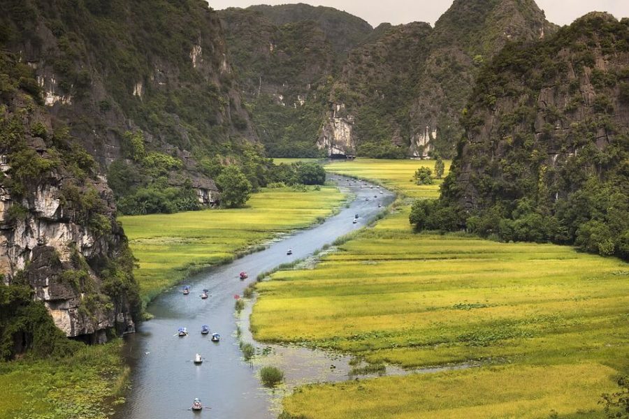 phong nha